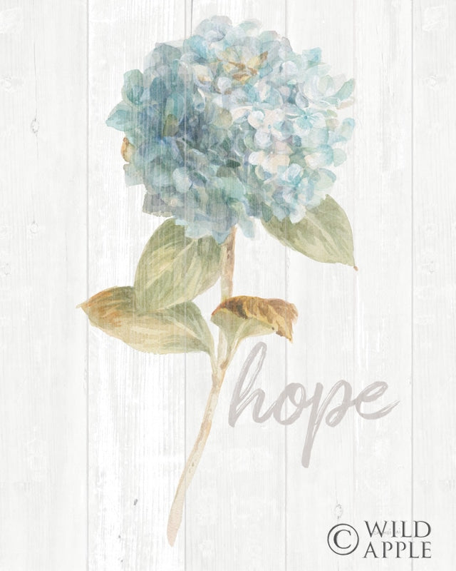 Reproduction of Garden Hydrangea on Wood Hope by Danhui Nai - Wall Decor Art