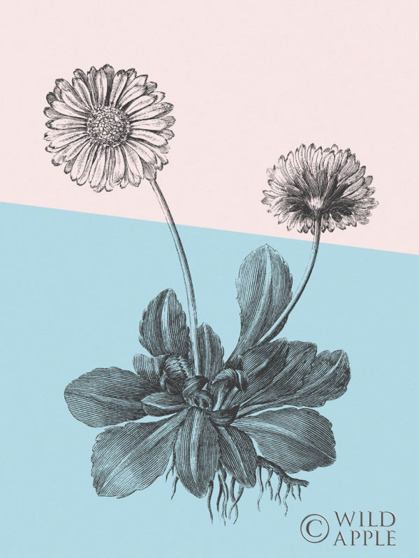 Reproduction of Conversations on Botany IX Color Block by Wild Apple Portfolio - Wall Decor Art