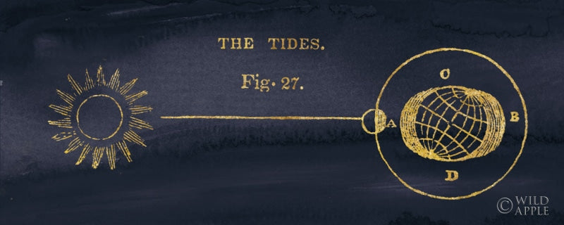 Reproduction of Geography of the Heavens VI Blue Gold by Wild Apple Portfolio - Wall Decor Art