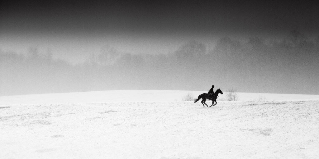 Reproduction of Winter Run by Aledanda - Wall Decor Art