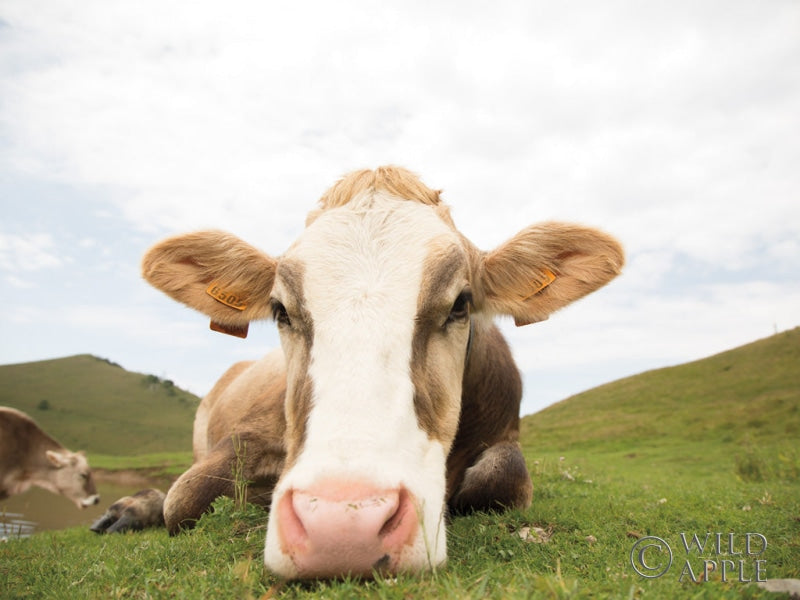 Reproduction of Close Up I Crop by Aledanda - Wall Decor Art