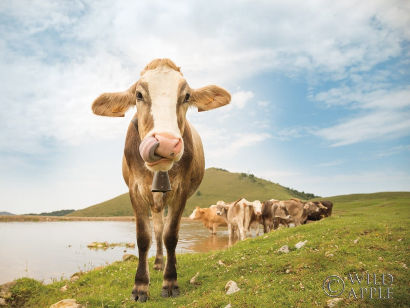 Reproduction of Close Up II by Aledanda - Wall Decor Art