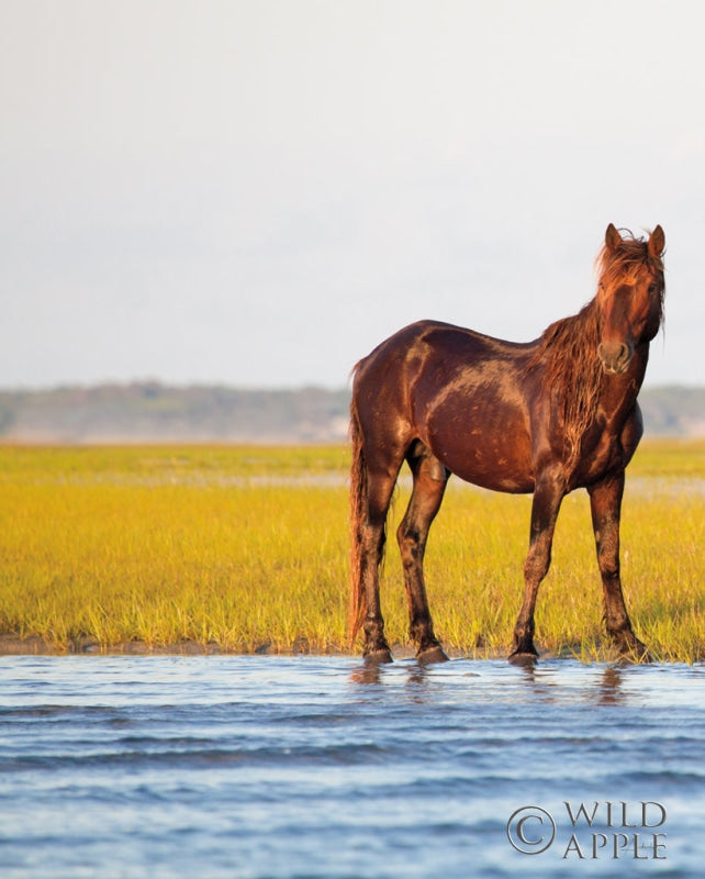 Reproduction of By the River by Aledanda - Wall Decor Art