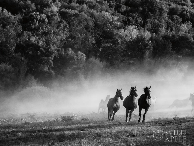 Reproduction of Horse country by Aledanda - Wall Decor Art