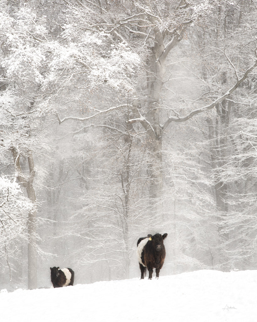 Reproduction of Oreos and Milk I Crop by Aledanda - Wall Decor Art