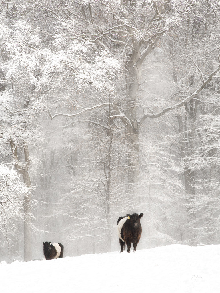 Reproduction of Oreos and Milk I by Aledanda - Wall Decor Art