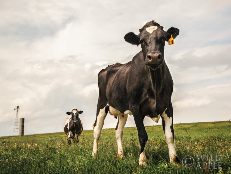 Reproduction of Waiting Color by Aledanda - Wall Decor Art