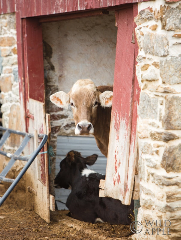 Reproduction of Resting by Aledanda - Wall Decor Art