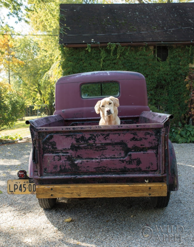 Reproduction of Get Out of Dodge by Jim Dratfield - Wall Decor Art