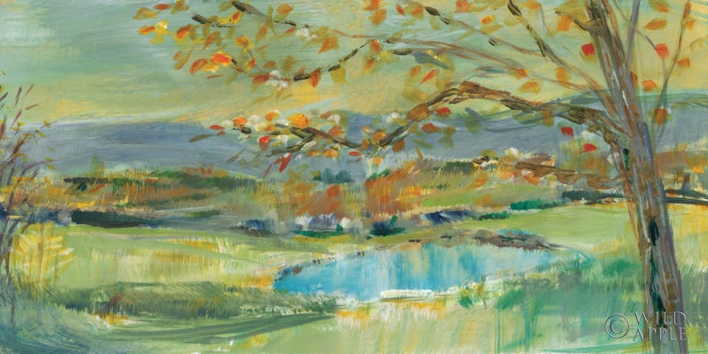 Reproduction of Cloudland View by Sue Schlabach - Wall Decor Art