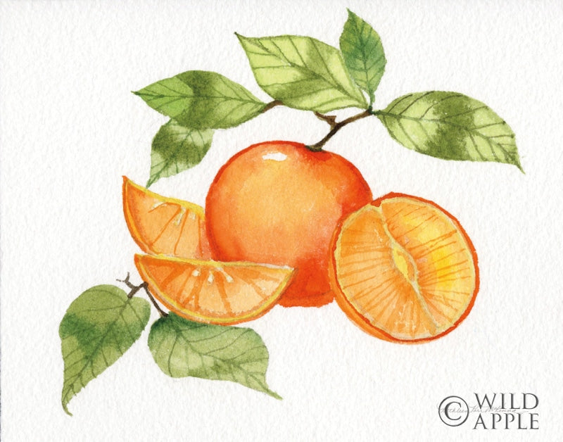 Reproduction of Citrus Garden VIII by Kathleen Parr McKenna - Wall Decor Art