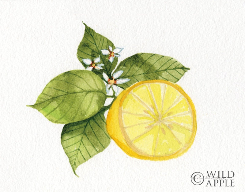 Reproduction of Citrus Garden IX by Kathleen Parr McKenna - Wall Decor Art