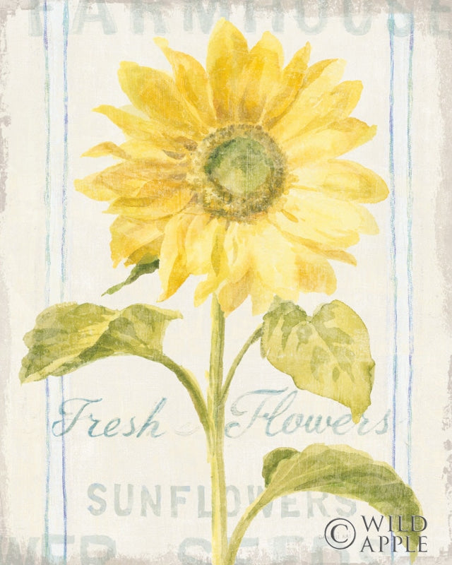 Reproduction of Floursack Florals II by Danhui Nai - Wall Decor Art