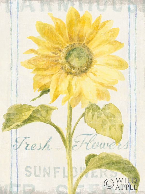 Reproduction of Floursack Florals II Crop by Danhui Nai - Wall Decor Art