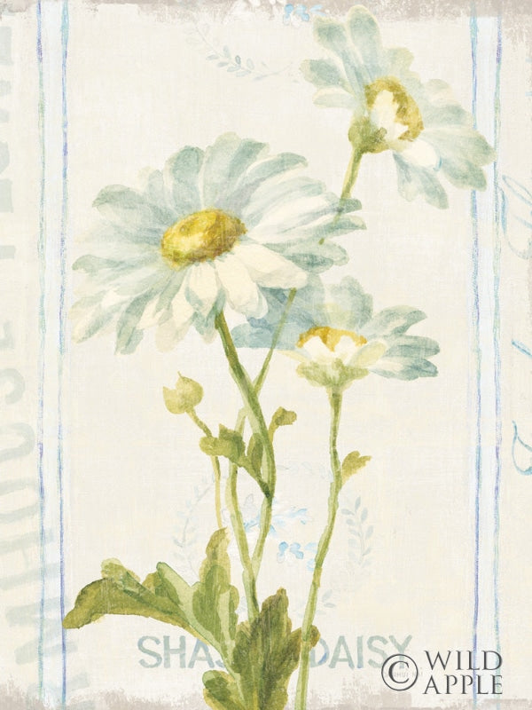 Reproduction of Floursack Florals III Crop by Danhui Nai - Wall Decor Art