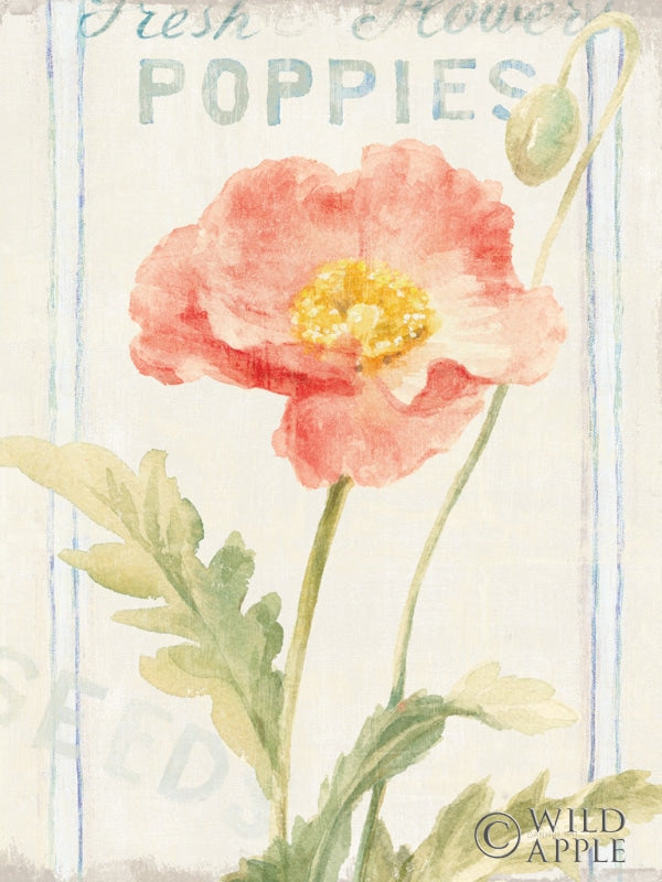 Reproduction of Floursack Florals IV Crop by Danhui Nai - Wall Decor Art