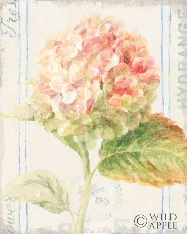 Reproduction of Floursack Florals VI by Danhui Nai - Wall Decor Art