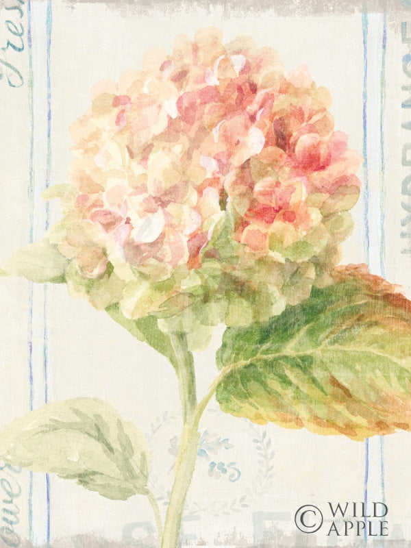 Reproduction of Floursack Florals VI Crop by Danhui Nai - Wall Decor Art