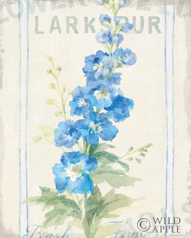 Reproduction of Floursack Florals VII by Danhui Nai - Wall Decor Art