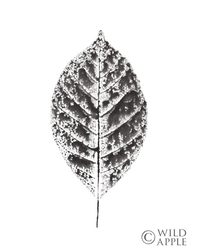 Reproduction of Harvest Sentiments V BW no Words by Moira Hershey - Wall Decor Art