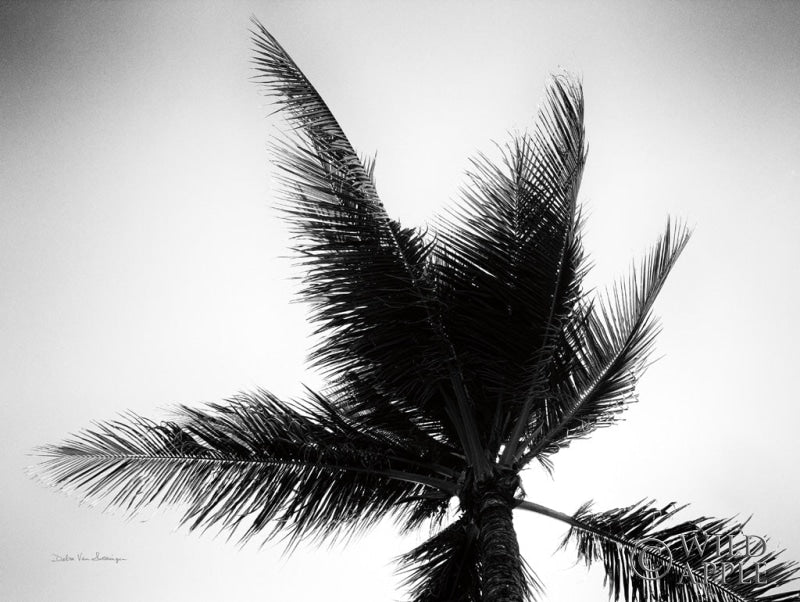 Reproduction of Palm Tree Looking Up IV by Debra Van Swearingen - Wall Decor Art