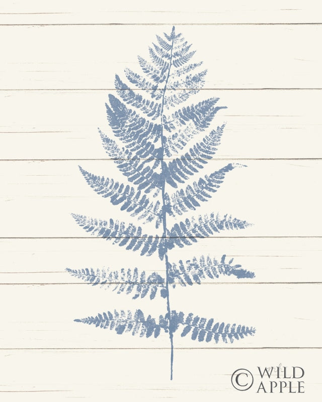 Reproduction of Fern Print II Blue Crop by Moira Hershey - Wall Decor Art