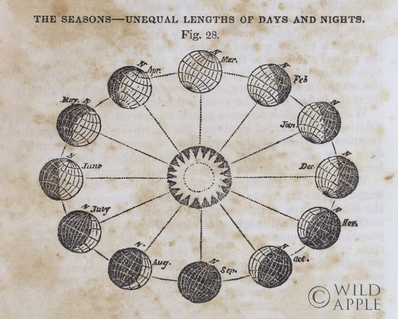 Reproduction of Geography of the Heavens VII by Wild Apple Portfolio - Wall Decor Art