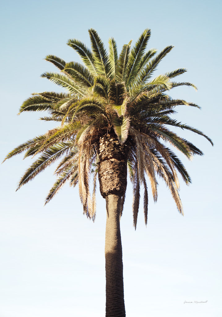 Reproduction of Summer IV Crop by Laura Marshall - Wall Decor Art