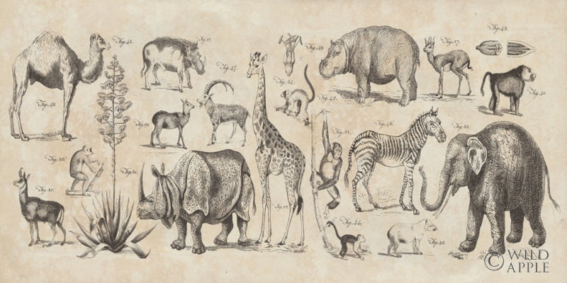 Reproduction of Wild Africa v2 by Wild Apple Portfolio - Wall Decor Art