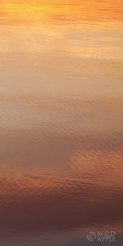 Reproduction of Kalaloch Reflections III by Laura Marshall - Wall Decor Art