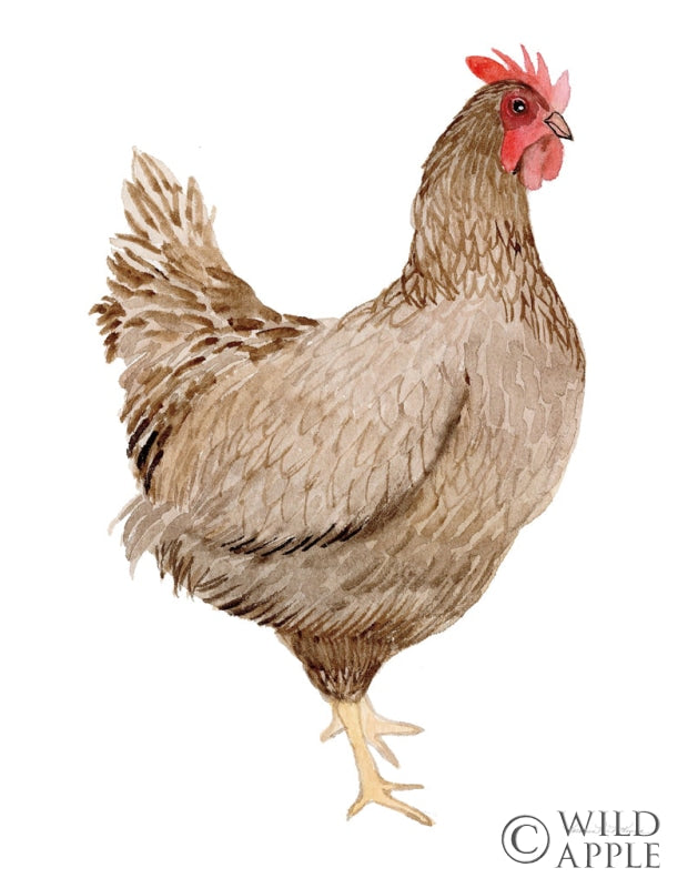 Reproduction of Life on the Farm Chicken Element III by Kathleen Parr McKenna - Wall Decor Art