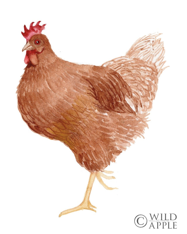 Reproduction of Life on the Farm Chicken Element IV by Kathleen Parr McKenna - Wall Decor Art