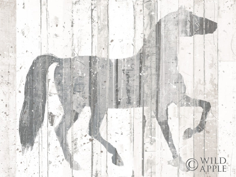 Reproduction of Dark Horse Gray Crop by Michael Mullan - Wall Decor Art