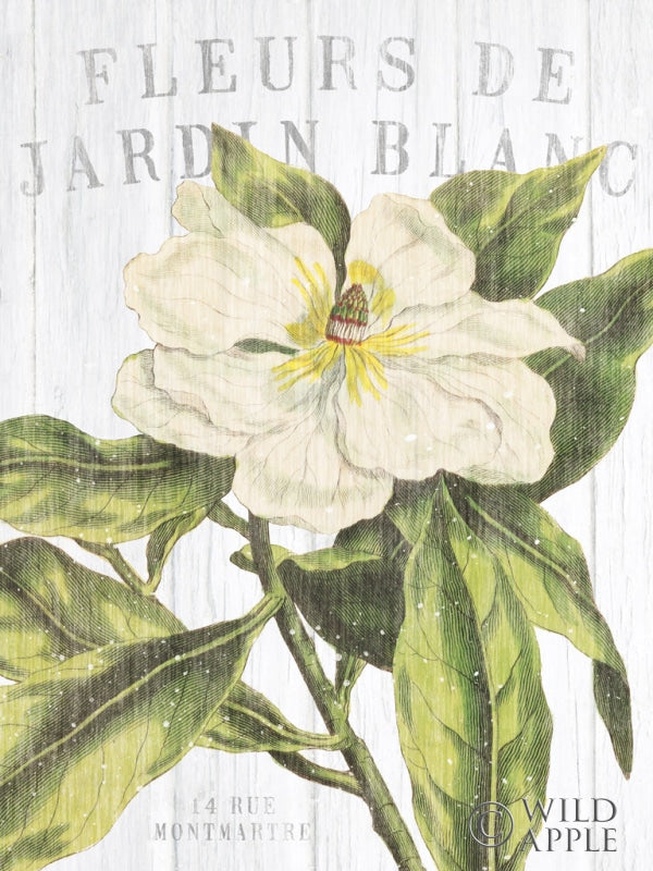 Reproduction of Fleuriste Paris II Crop by Wild Apple Portfolio - Wall Decor Art