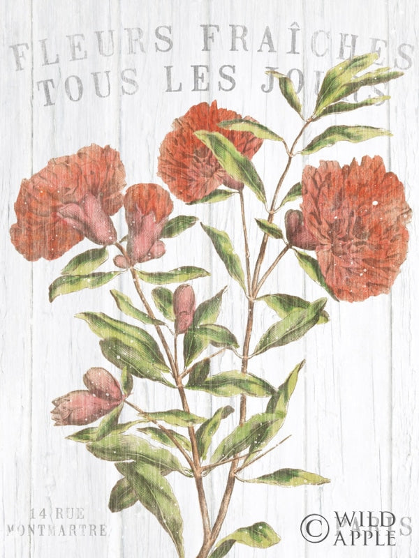 Reproduction of Fleuriste Paris III Crop by Wild Apple Portfolio - Wall Decor Art