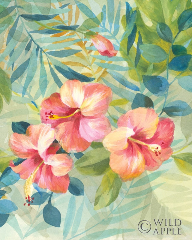 Reproduction of Hibiscus Garden III by Danhui Nai - Wall Decor Art