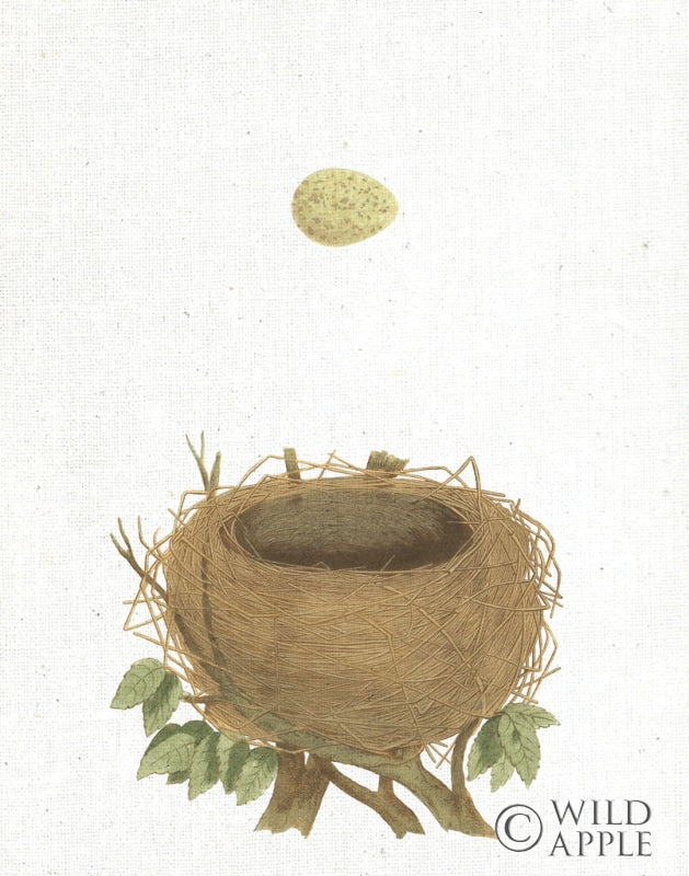 Reproduction of Spring Nest II Crop by Moira Hershey - Wall Decor Art