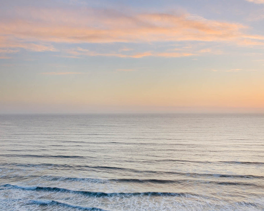 Reproduction of Sunset on Redwoods Coast I by Alan Majchrowicz - Wall Decor Art