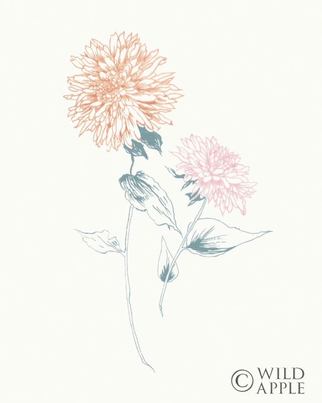 Reproduction of Flowers on White IV Contemporary by Wild Apple Portfolio - Wall Decor Art