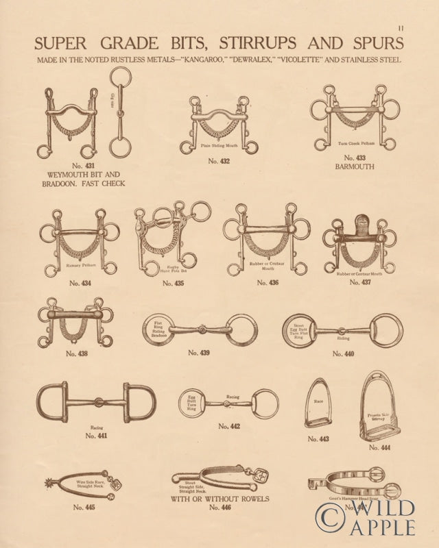 Reproduction of Equine Riding Gear I v2 by Wild Apple Portfolio - Wall Decor Art