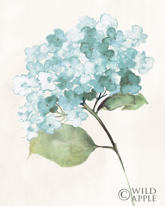 Reproduction of Antique Floral on Cream I Blue by Wild Apple Portfolio - Wall Decor Art