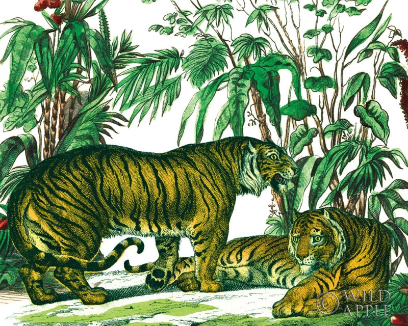 Reproduction of Jungle Flair V by Wild Apple Portfolio - Wall Decor Art