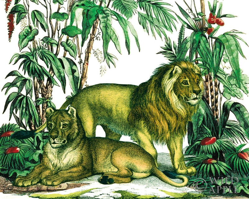 Reproduction of Jungle Flair VI by Wild Apple Portfolio - Wall Decor Art