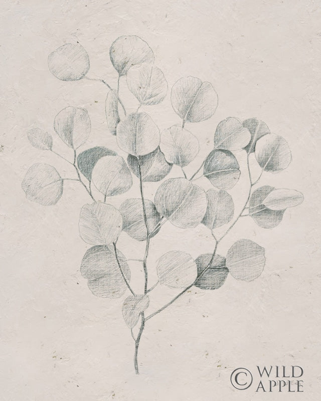 Reproduction of Soft Summer Sketches II by James Wiens - Wall Decor Art