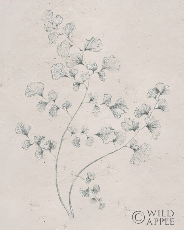 Reproduction of Soft Summer Sketches IV by James Wiens - Wall Decor Art