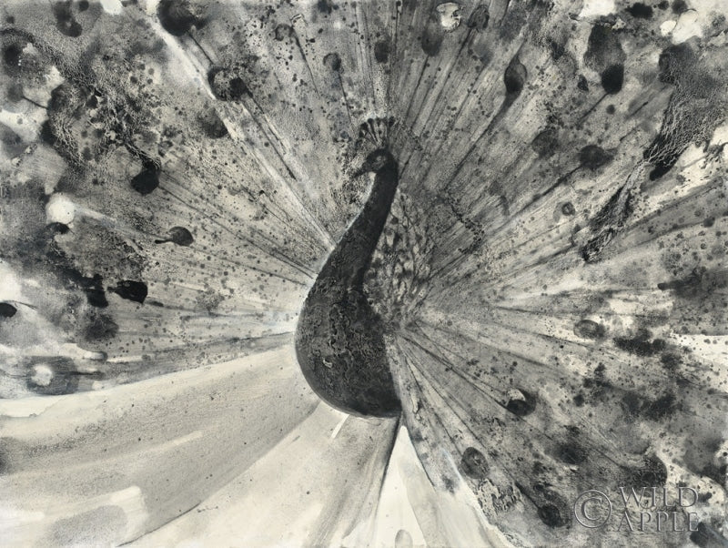 Reproduction of Fanfare by Albena Hristova - Wall Decor Art