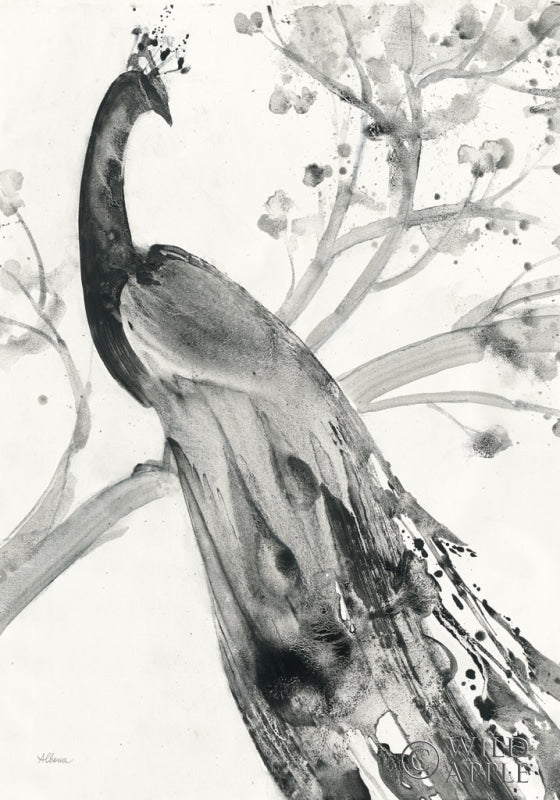 Reproduction of Majestic Peacock Crop by Albena Hristova - Wall Decor Art