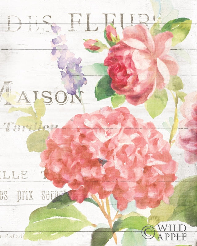 Reproduction of Maison Des Fleurs IV by Danhui Nai - Wall Decor Art