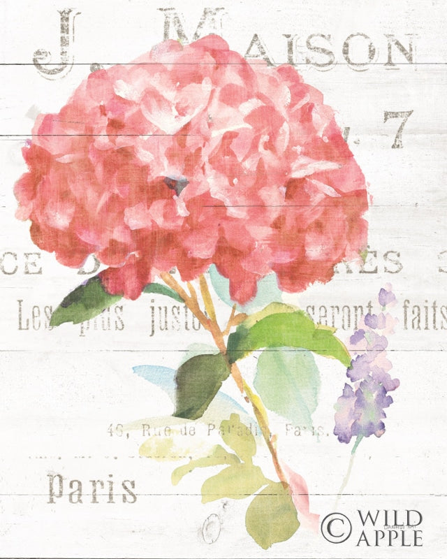 Reproduction of Maison des Fleurs VI by Danhui Nai - Wall Decor Art