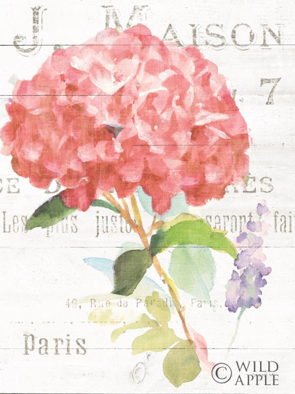 Reproduction of Maison des Fleurs VI Crop by Danhui Nai - Wall Decor Art